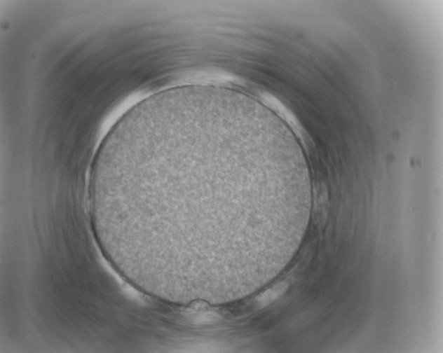 X0000086031103200704201940