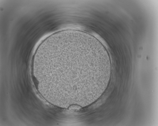 X0000086031104200704201940