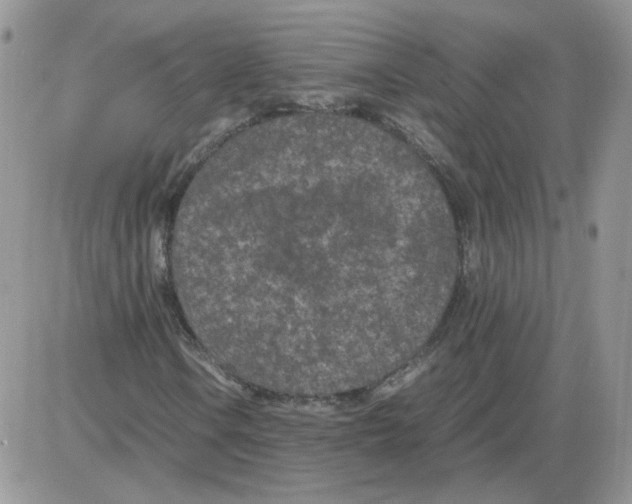 X0000086031106200704201939