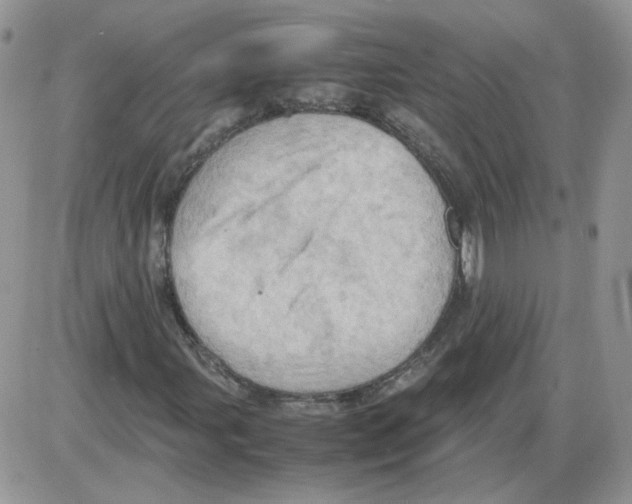 X0000086031107200704201939