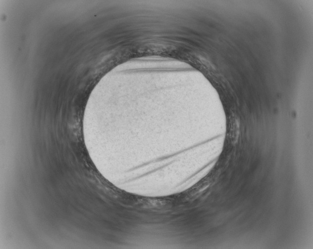 X0000086031109200704201939