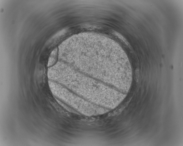 X0000086031111200704201939