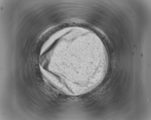 X0000086031112200704201939