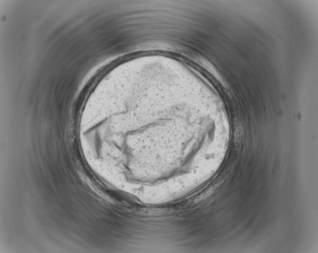 X0000086031116200704201939