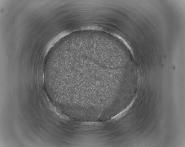 X0000086031117200704201939