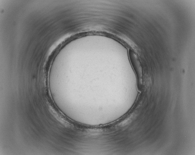 X0000086031118200704201939