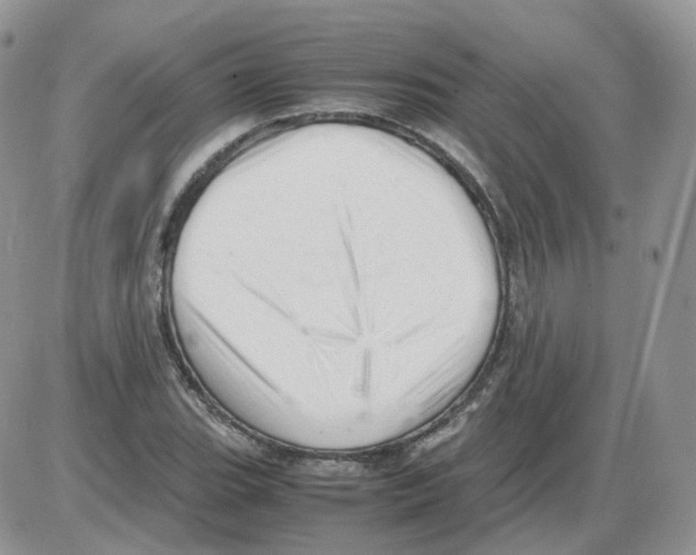 X0000086031119200704201939