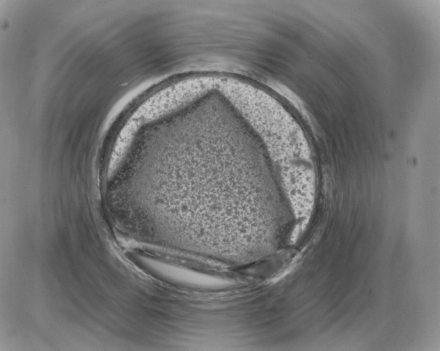 X0000086031120200704201939