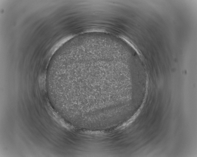 X0000086031121200704201939