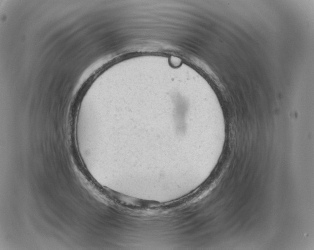 X0000086031122200704201939