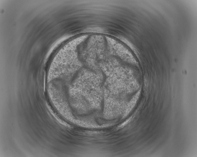 X0000086031123200704201939