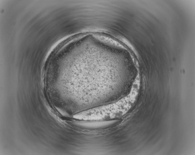 X0000086031124200704201939