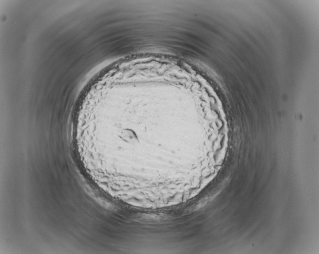 X0000086031125200704201939