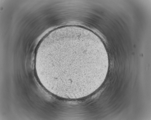 X0000086031126200704201939