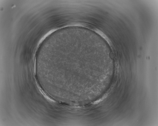 X0000086031127200704201939