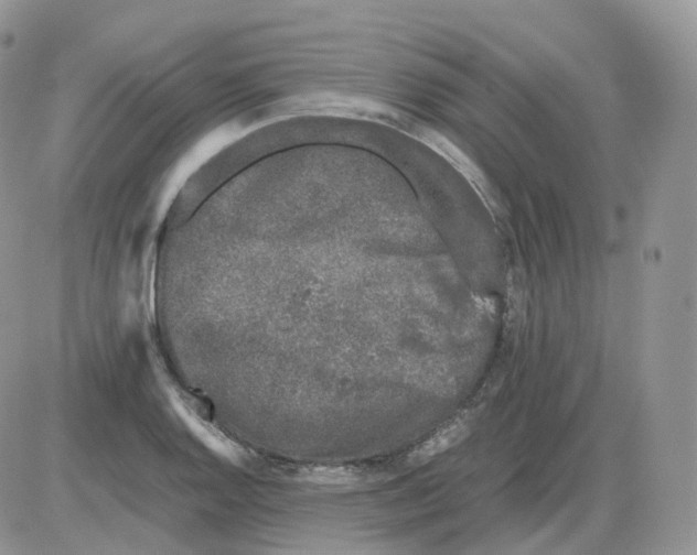 X0000086031128200704201939