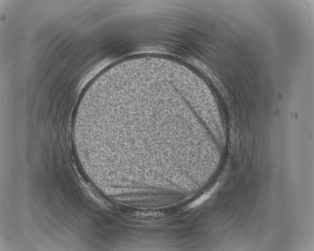 X0000086031129200704201939