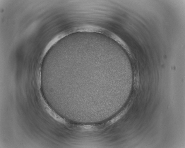 X0000086031130200704201939