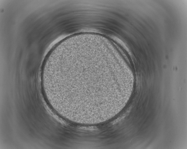 X0000086031133200704201939