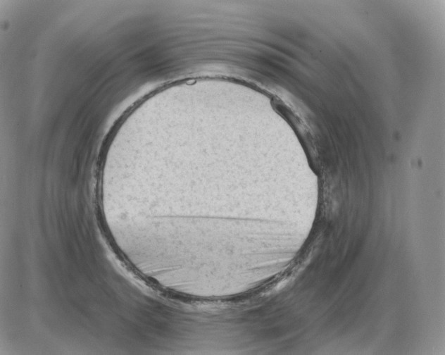 X0000086031134200704201939