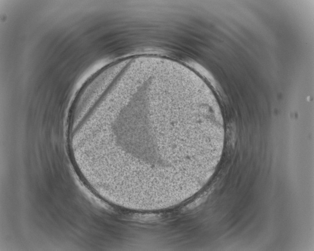 X0000086031135200704201939