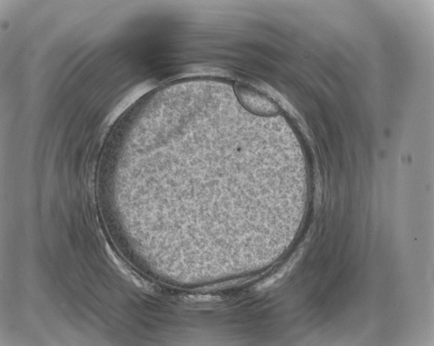 X0000086031137200704201939