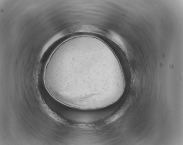 X0000086031138200704201940