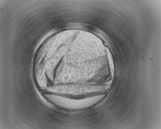 X0000086031139200704201940