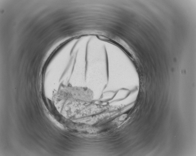 X0000086031140200704201940