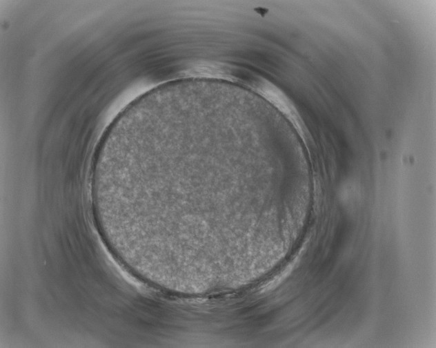 X0000086031141200704201940