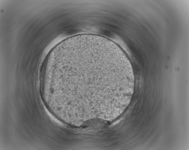 X0000086031143200704201940