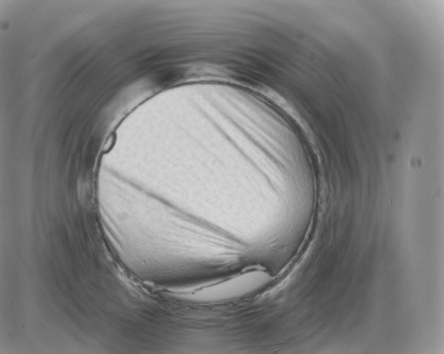 X0000086031145200704201940