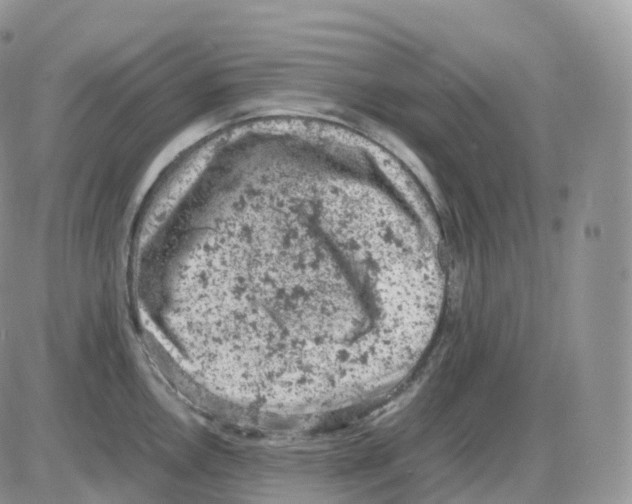 X0000086031146200704201940