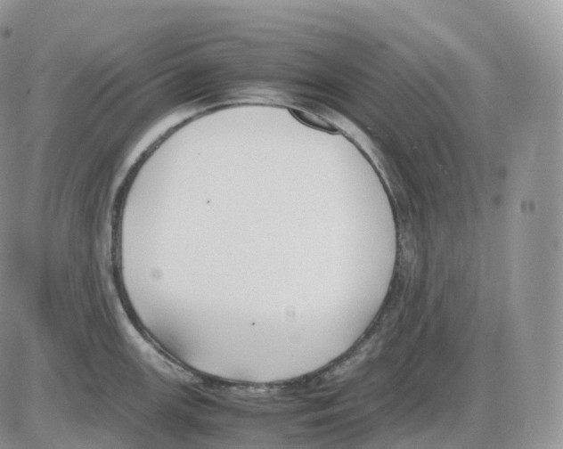 X0000086031147200704201940