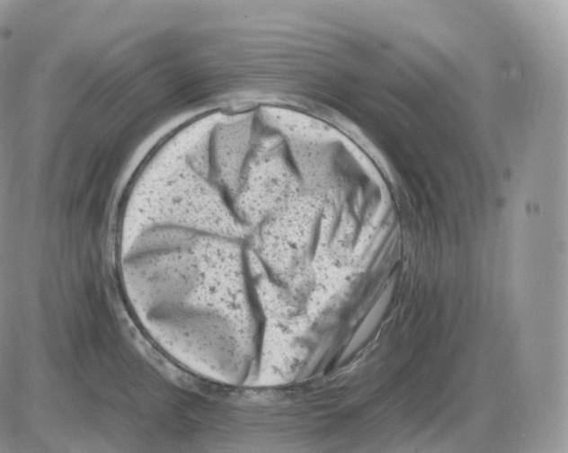 X0000086031148200704201940