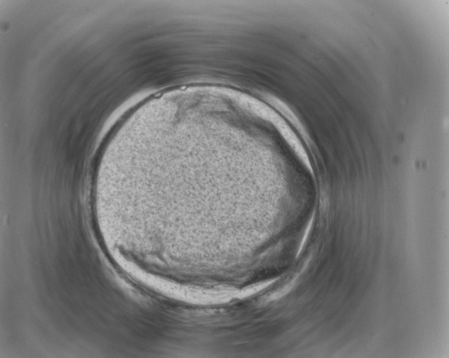 X0000086031149200704201940