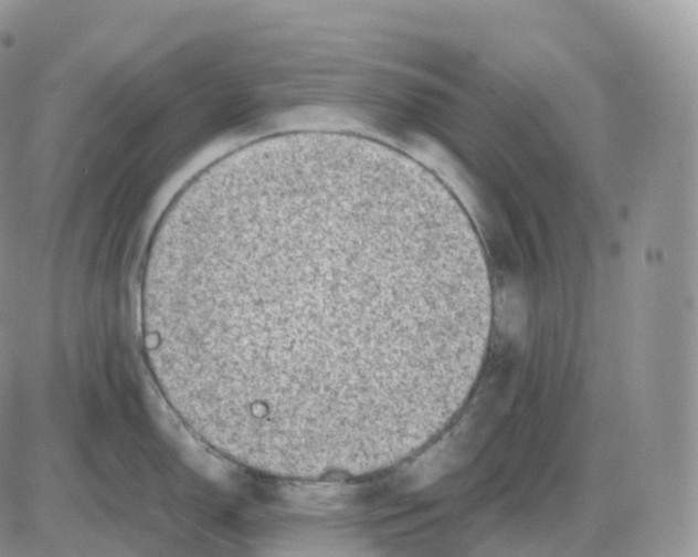 X0000086031150200704201940