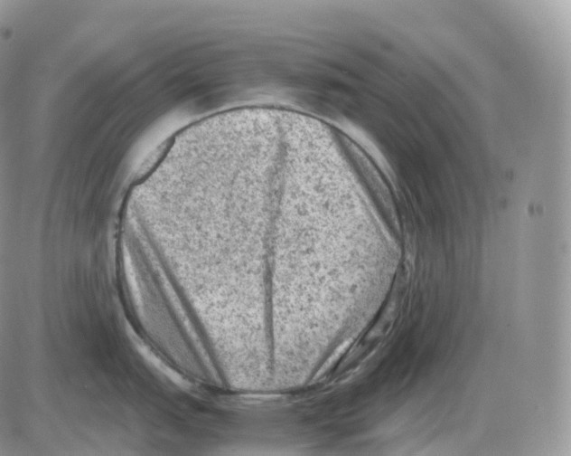 X0000086031151200704201940