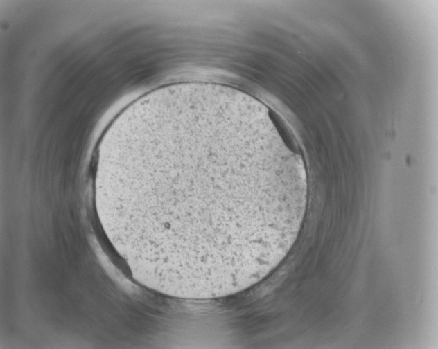 X0000086031152200704201940