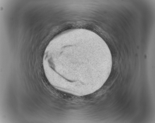 X0000086031153200704201939