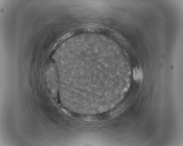 X0000086031155200704201939