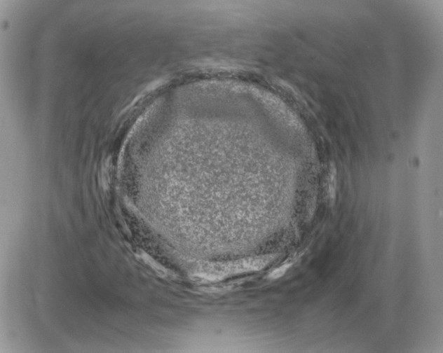 X0000086031157200704201939