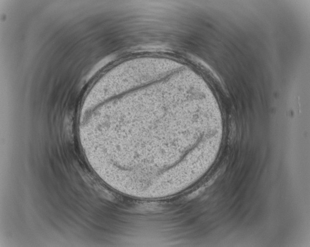 X0000086031162200704201939