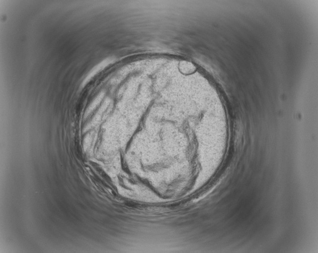 X0000086031163200704201939