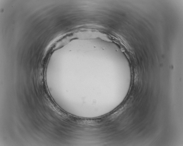 X0000086031164200704201939