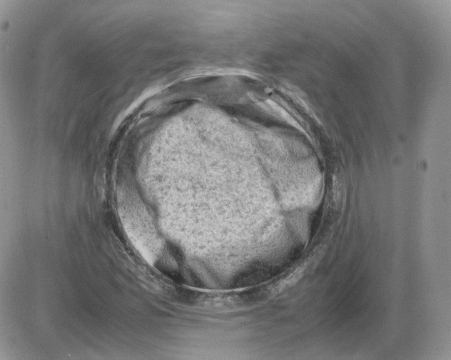 X0000086031165200704201939