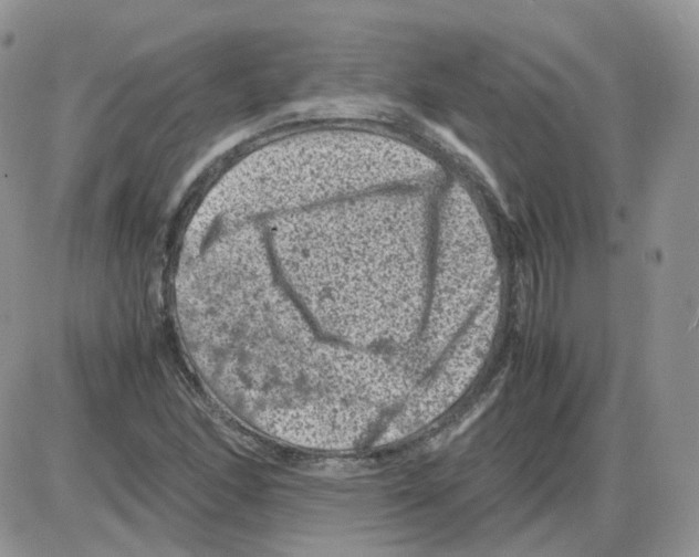 X0000086031166200704201939