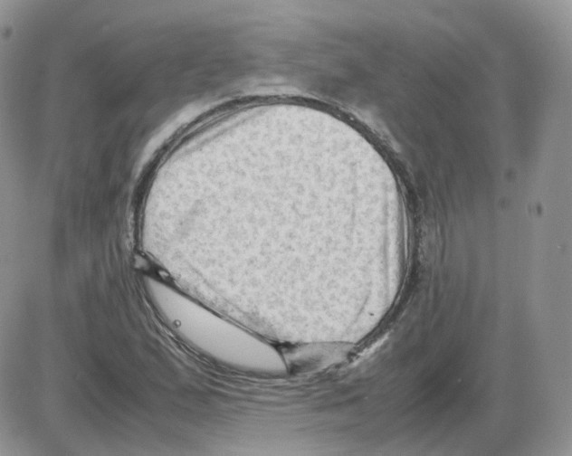 X0000086031167200704201939