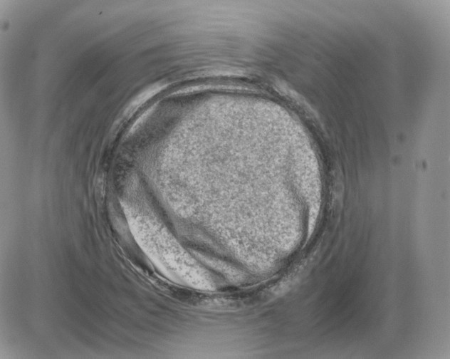 X0000086031169200704201939