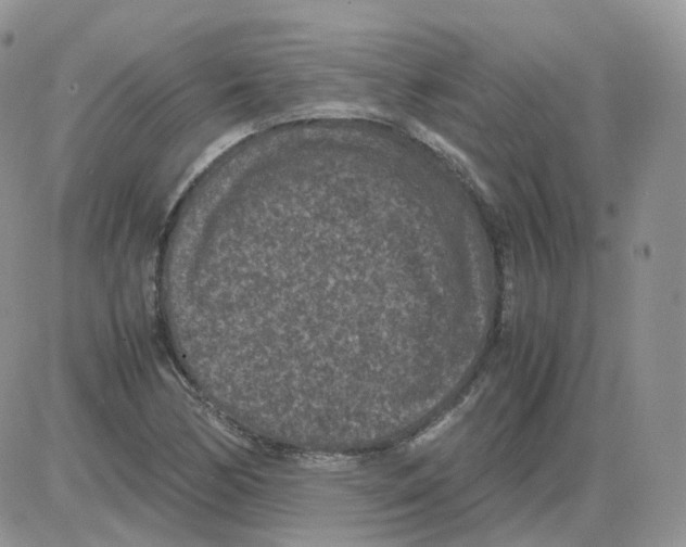 X0000086031170200704201939